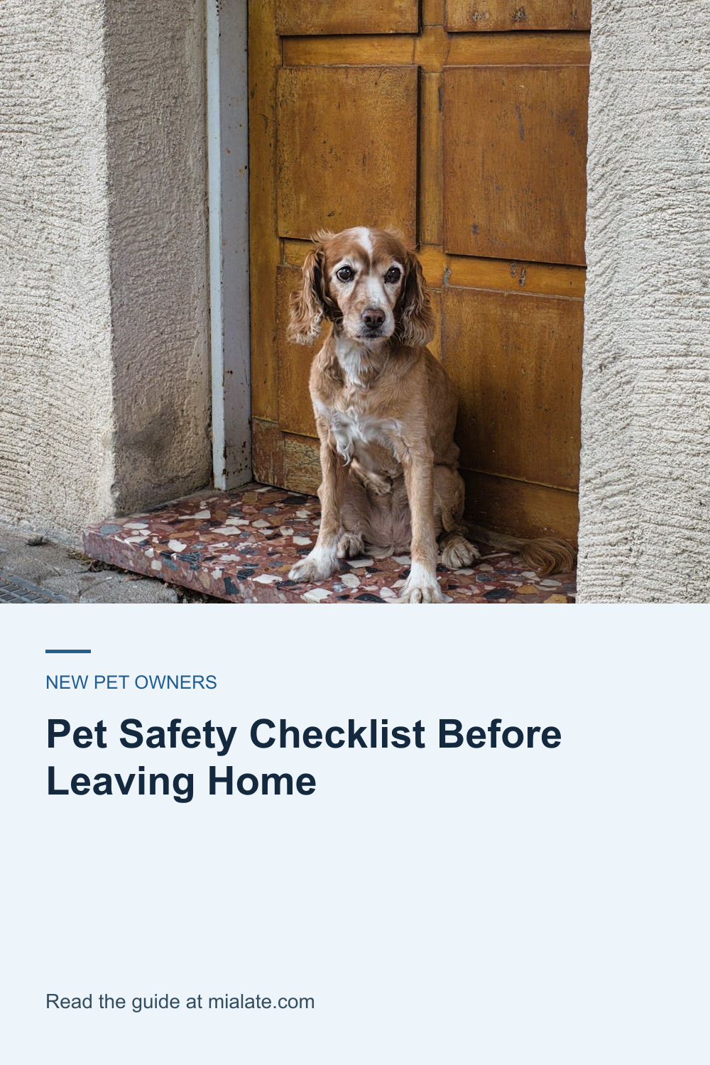 Pet Safety Checklist Before Leaving Home — MiaLate article cover