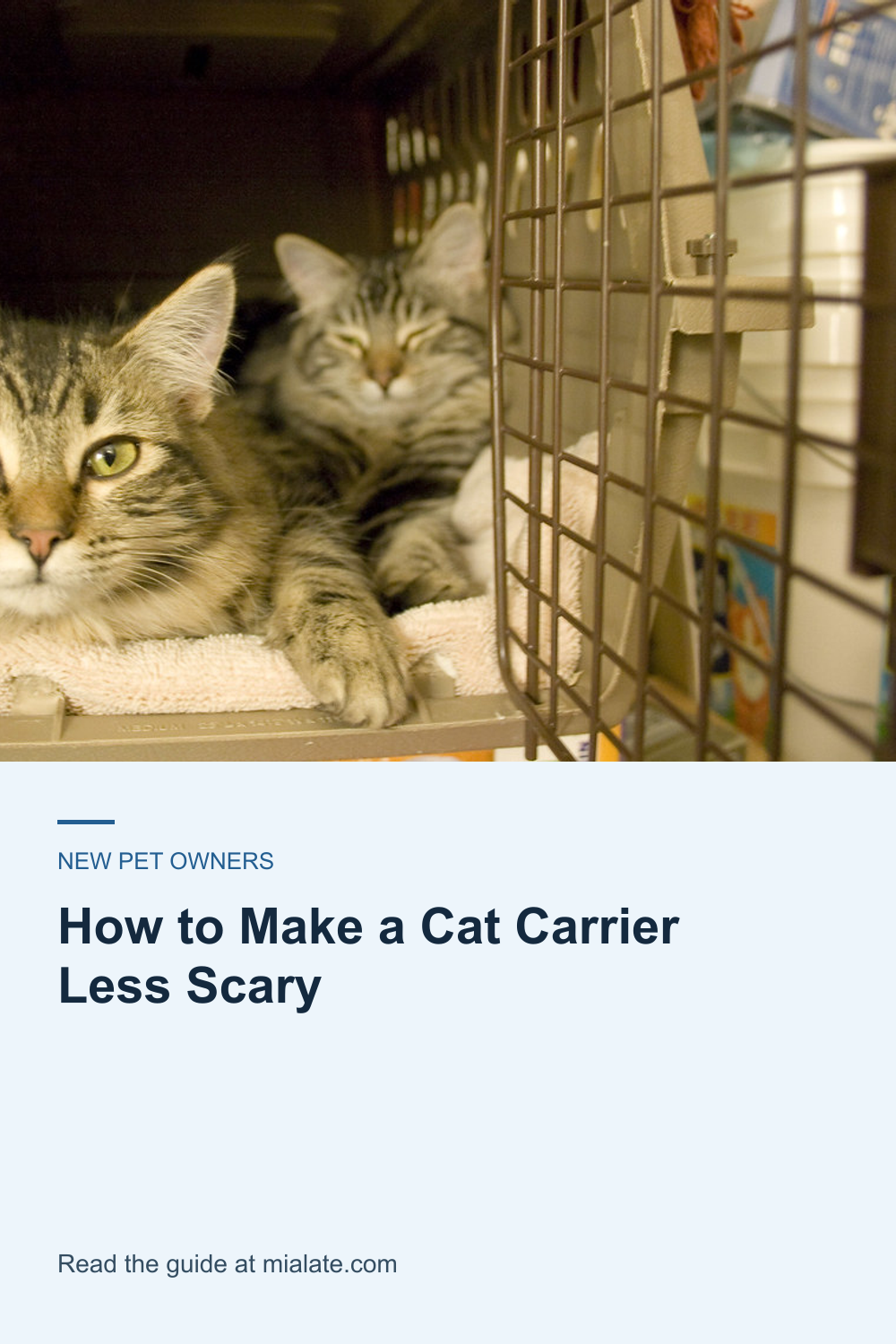 How to Make a Cat Carrier Less Scary — MiaLate article cover
