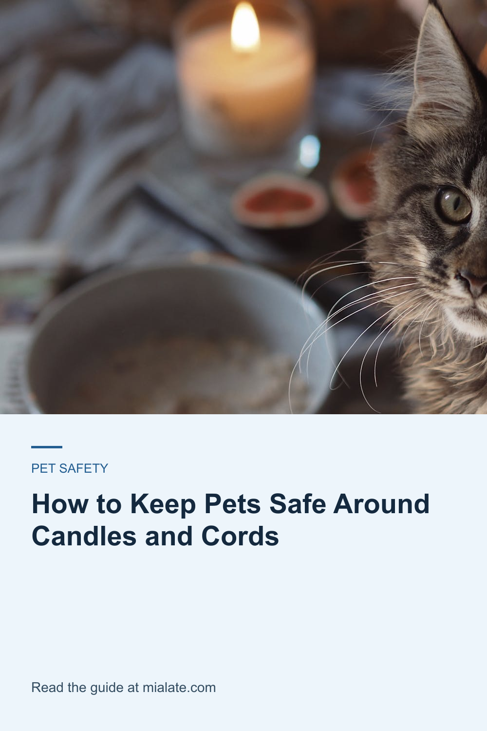 How to Keep Pets Safe Around Candles and Cords — MiaLate article cover