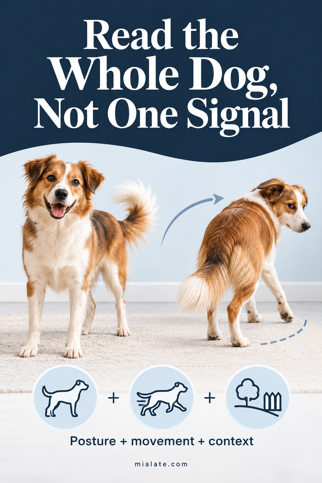 AI-created illustration for Read the Whole Dog, Not One Signal — MiaLate