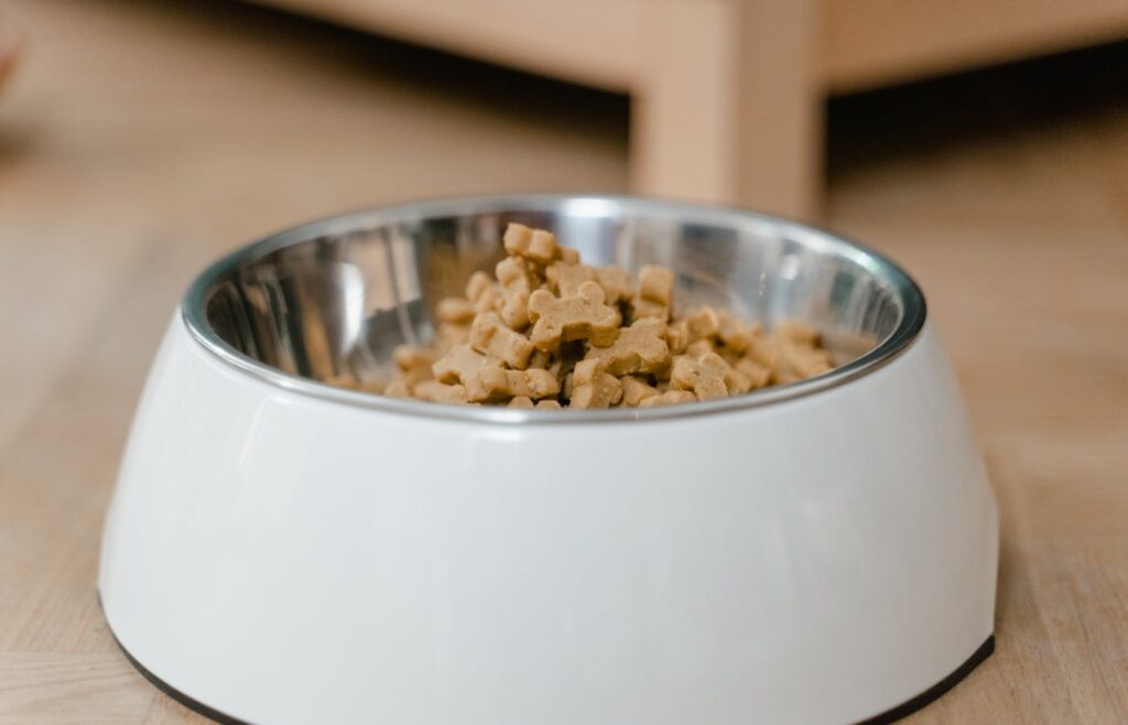 White dog bowl filled with small bone-shaped treats