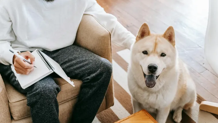 nome para cachorro macho