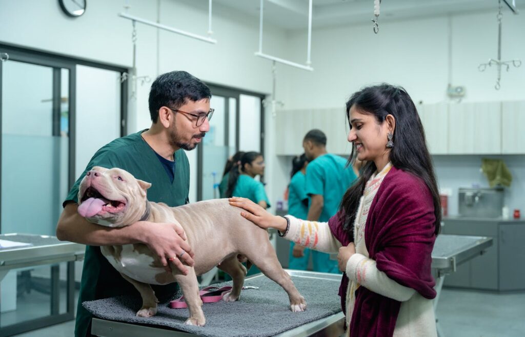Vet holding a pet dog on an exam table with owner nearby