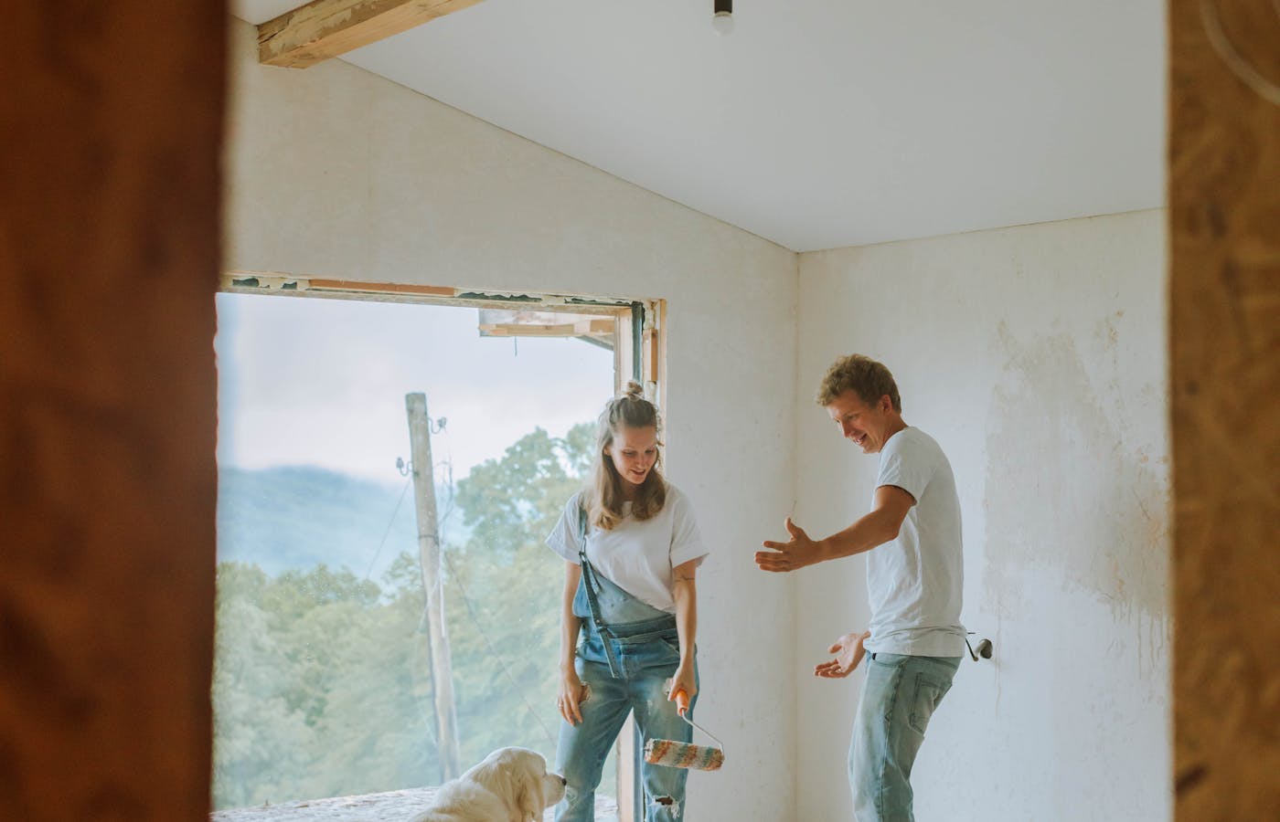 Dog resting in a room while people paint during a home renovation