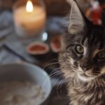 Tabby kitten sitting near a lit candle on a table