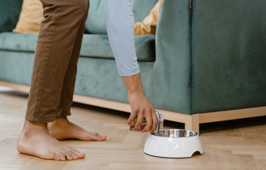 Person pouring dry dog food into a white dog bowl